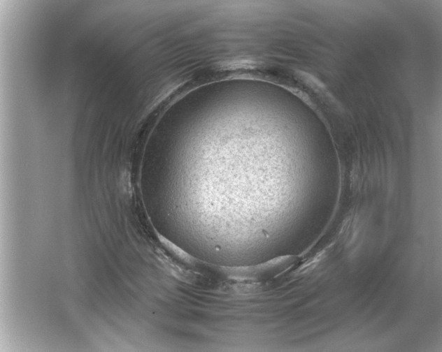 X0000066941209200603271128