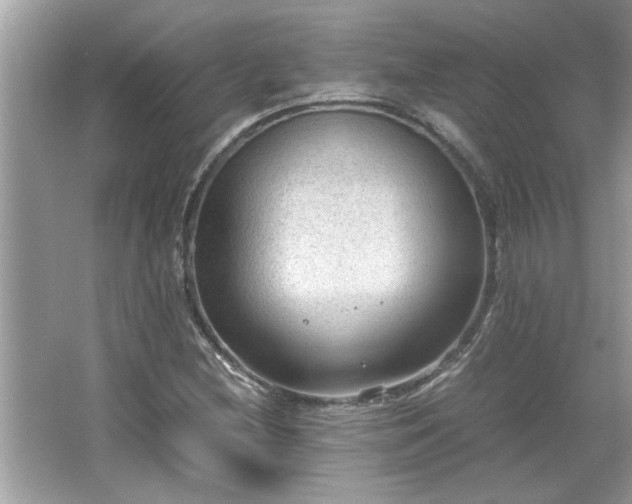 X0000066941212200603271128