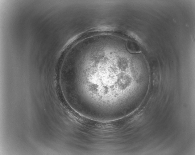 X0000066941213200603271128