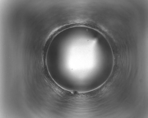 X0000066941214200603271128