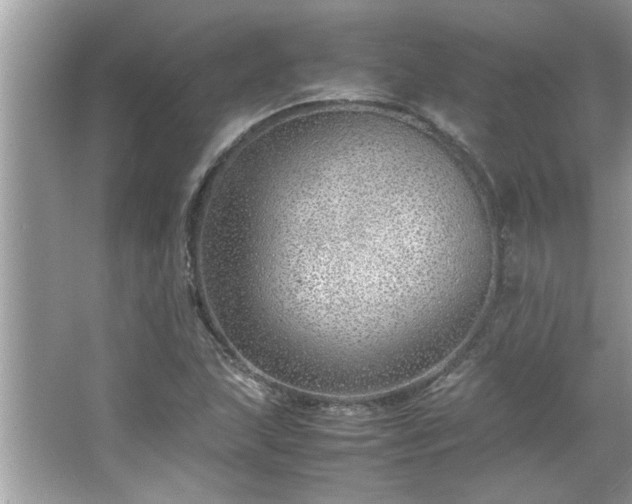 X0000066941215200603271128