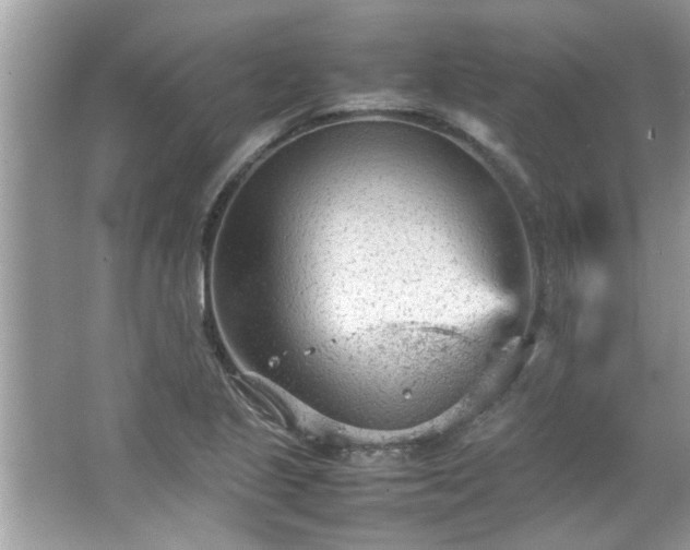 X0000066941221200603271128