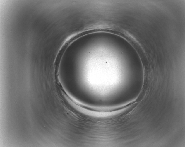 X0000066941222200603271128