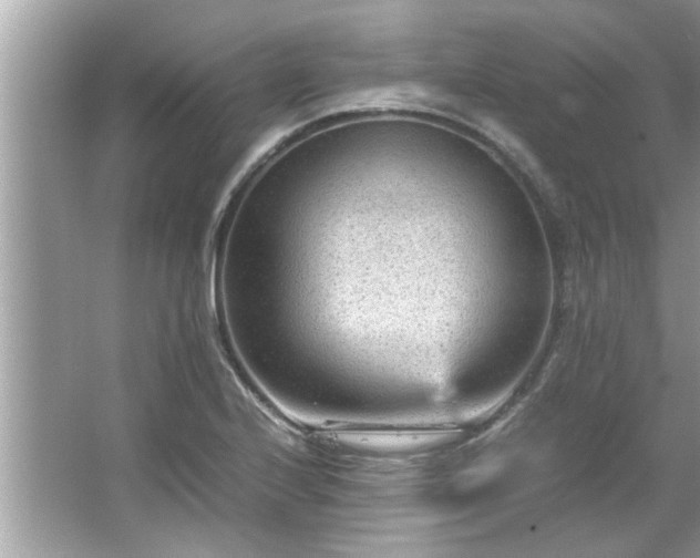 X0000066941224200603271128