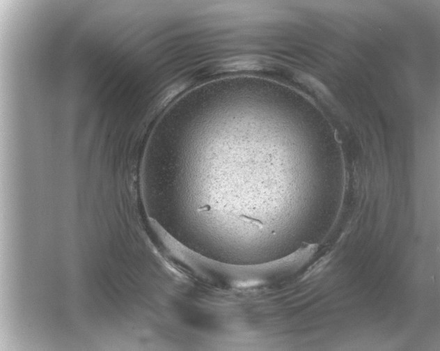 X0000066941225200603271128