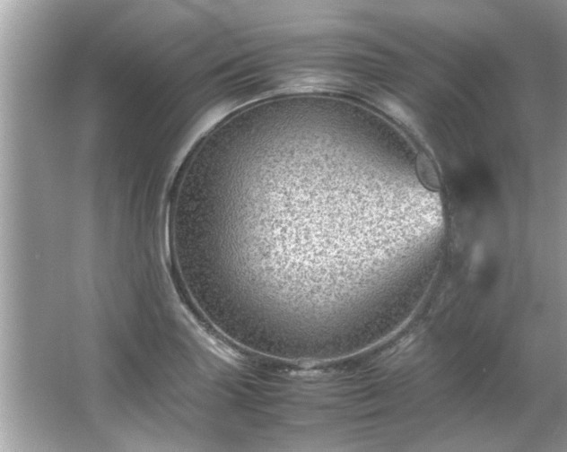 X0000066941227200603271128