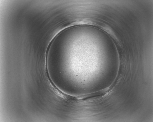 X0000066941228200603271128