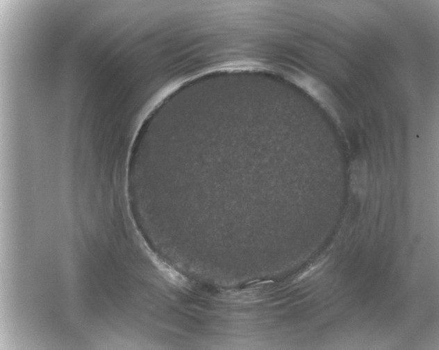 X0000066941229200603271128