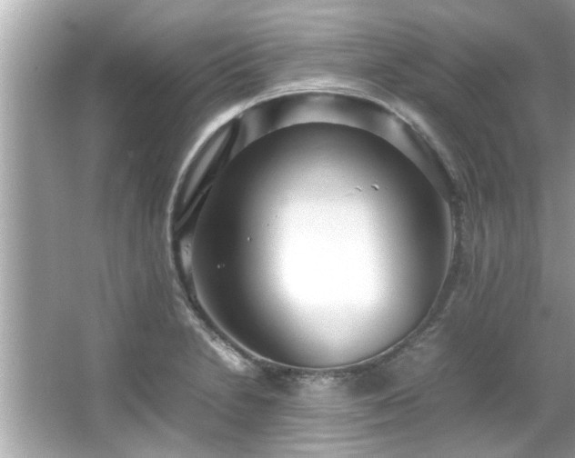 X0000066941230200603271128