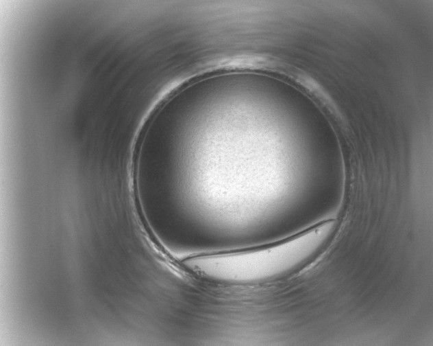 X0000066941232200603271128