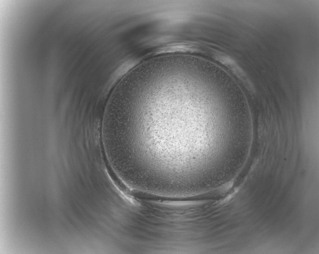 X0000066941233200603271128