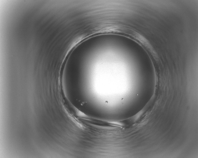 X0000066941234200603271128