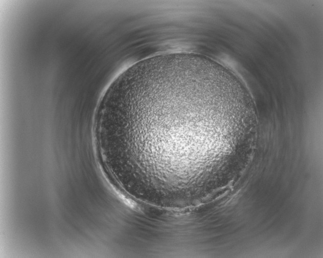 X0000066941235200603271128