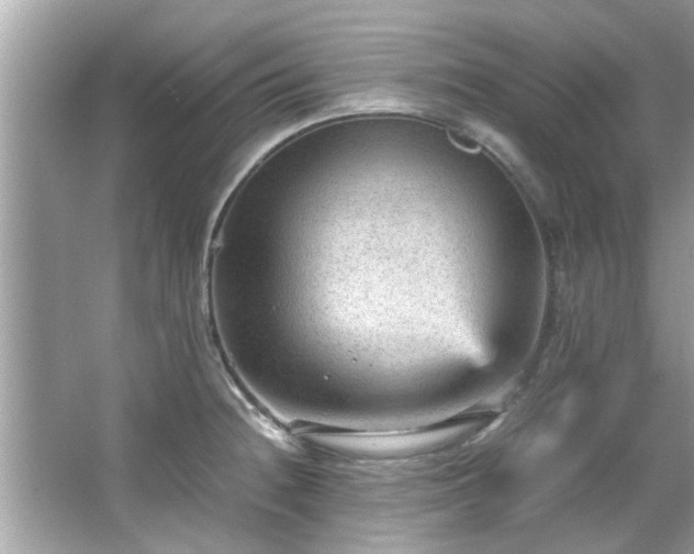 X0000066941236200603271128