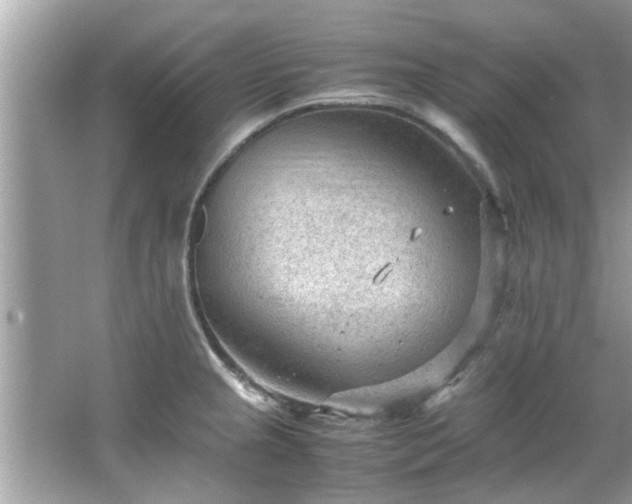 X0000066941237200603271128