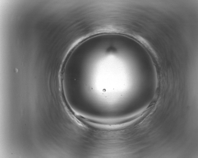 X0000066941238200603271128