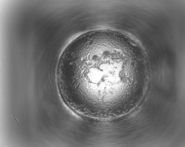 X0000066941239200603271128