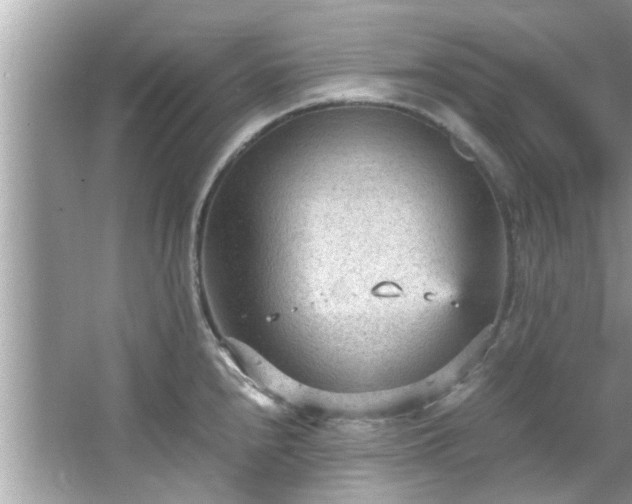 X0000066941240200603271128