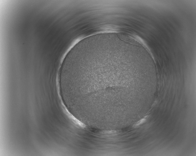 X0000066941243200603271129