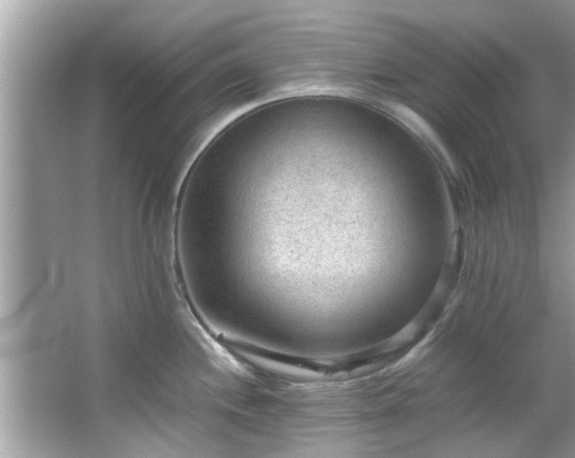 X0000066941244200603271129