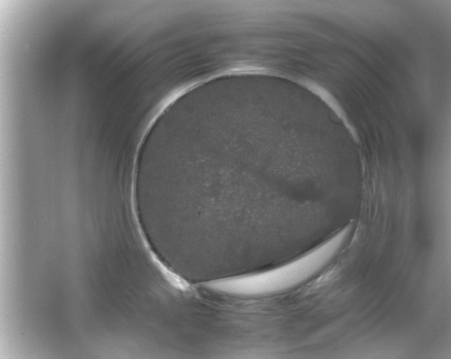 X0000066941245200603271129