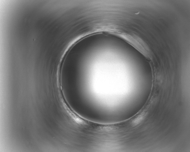 X0000066941246200603271129