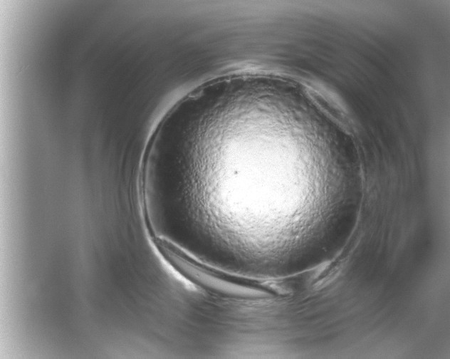 X0000066941247200603271129