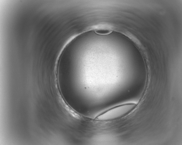 X0000066941248200603271129