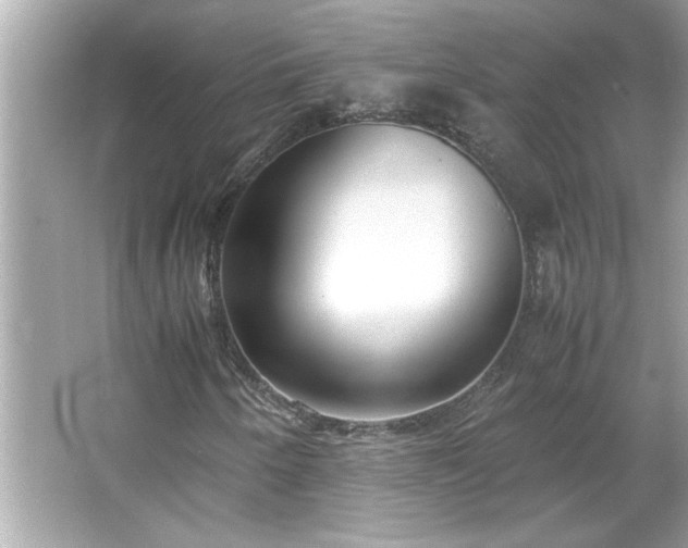 X0000066941250200603271128