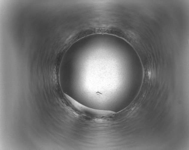 X0000066941252200603271128