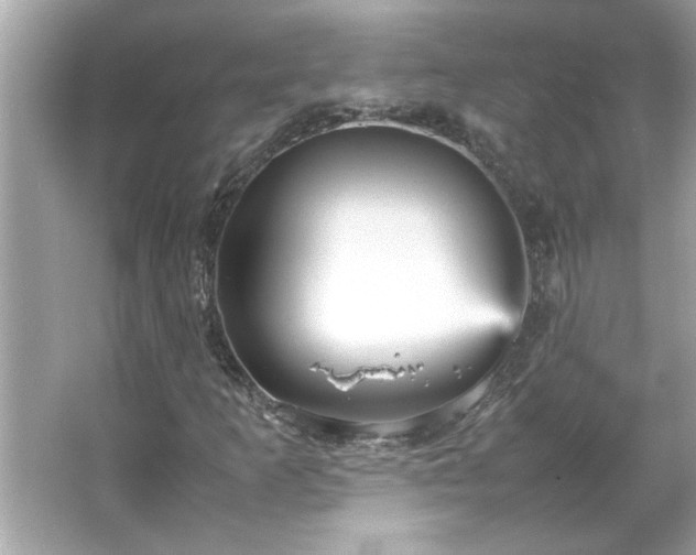 X0000066941253200603271128