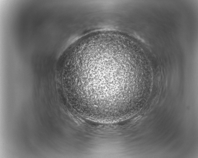 X0000066941255200603271128