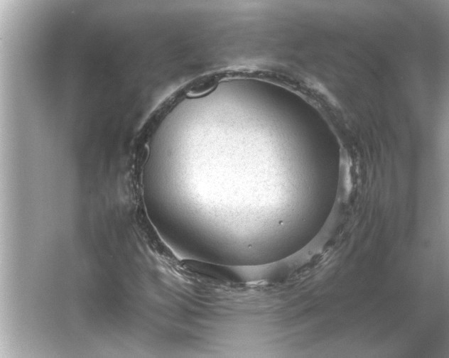 X0000066941256200603271128