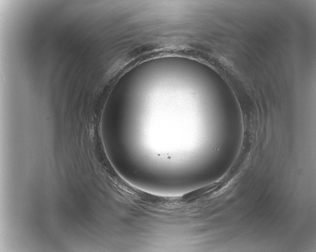 X0000066941257200603271128