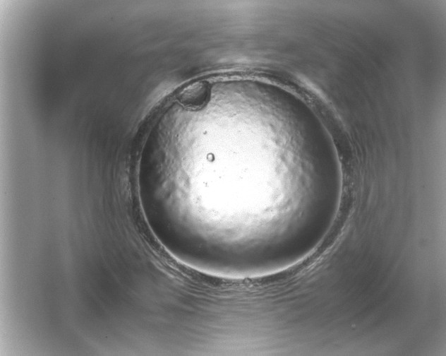 X0000066941259200603271128