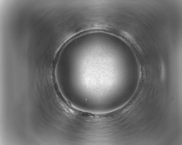 X0000066941260200603271128