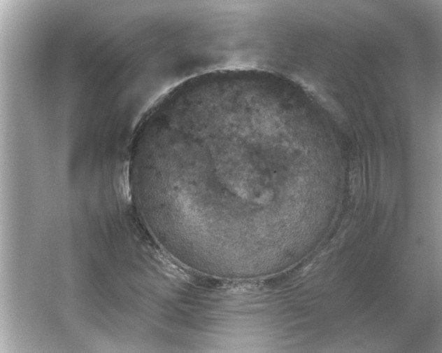 X0000066941262200603271128