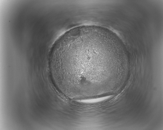 X0000066941263200603271128