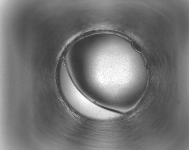 X0000066941264200603271128