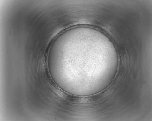 X0000066941266200603271128