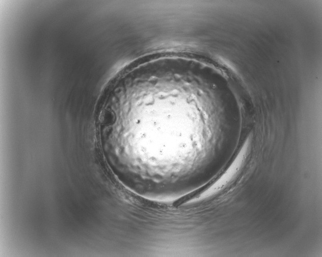 X0000066941267200603271128