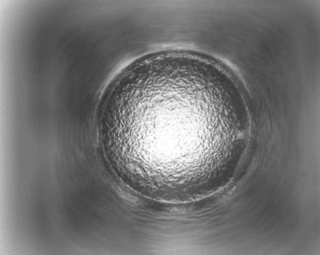 X0000066941271200603271127