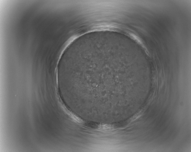 X0000066941275200603271127