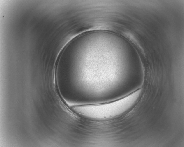 X0000066941276200603271127