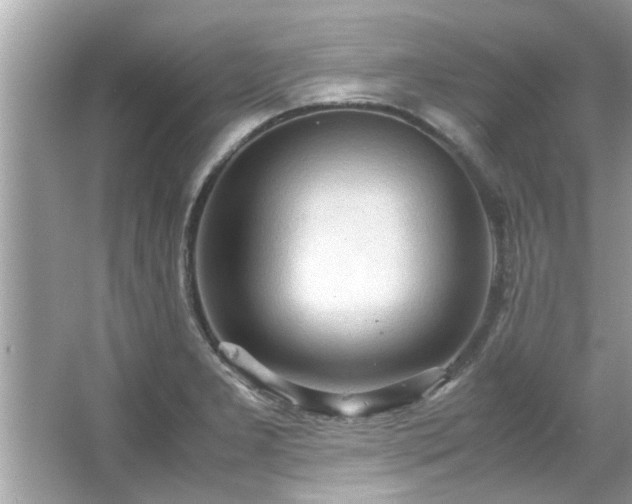 X0000066941277200603271127