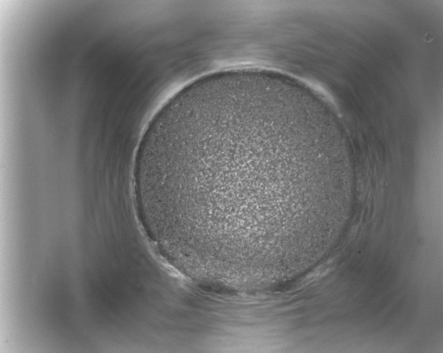 X0000066941279200603271127