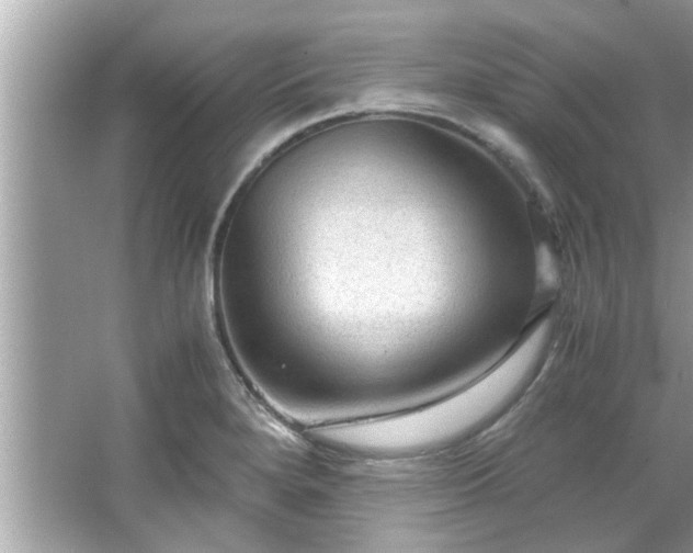 X0000066941280200603271127