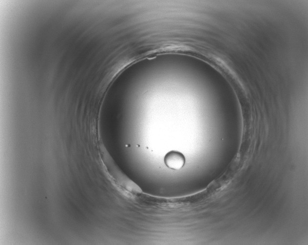 X0000066941281200603271127