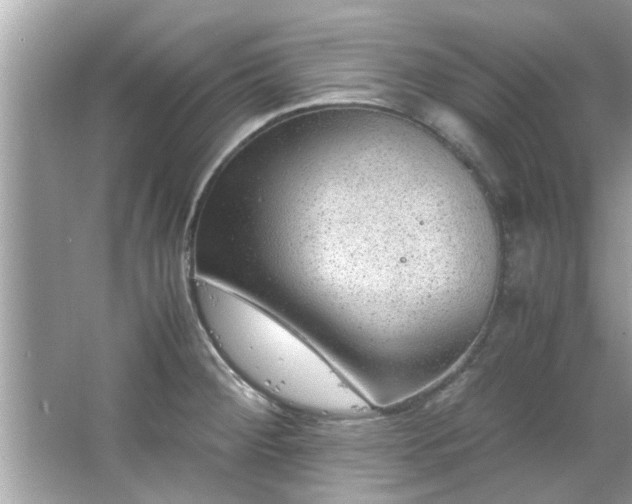 X0000066941284200603271127