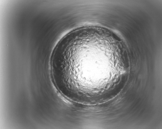 X0000066941287200603271127